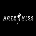 Logo de Instituto Arte-miss Huesca
