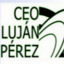 Logo de Nuestra Señora Del Pilar