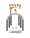 Logo de Instituto Calatalifa