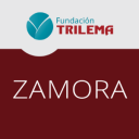 Logo de Colegio Trilema Zamora