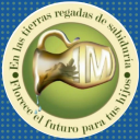Instituto Metepec