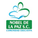 Colegio  Nobel De La Paz