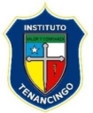 Logo de Instituto Tenancingo A. C.