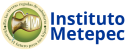 Instituto Metepec
