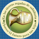 Instituto Metepec