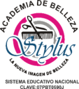 Logo de Preparatoria Stylus