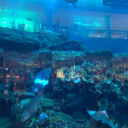 Logo de Escuela Antonio Vivaldi