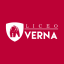 Logo de Tecnologico Liceo Verna