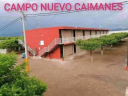 Logo de Escuela  Campo nuevo caimanes