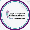 Logo de Batxillerat Valle de Anáhuac Campus el Oro