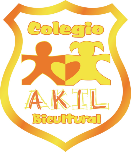 Colegio Akil Bilingüe en Tlalpan | Opiniones y Precios 2024