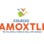 Logo de Amoxtli