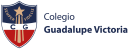 Logo de Colegio Guadalupe Victoria