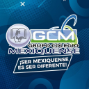 Grupo Colegio Mexiquense