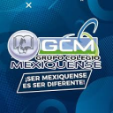 Logo de Colegio Mexiquense