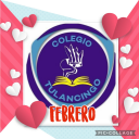 Logo de Col·legi Tulancingo