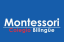 Logo de  Montessori Panamericano