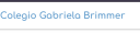 Logo de Colegio Gabriela Brimmer