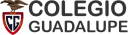 Logo de Colegio Guadalupe