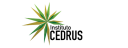 Instituto Cedrus