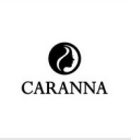 Logo de Instituto De Belleza Caranna