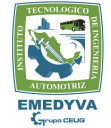 Logo de Instituto Tecnológico De Ingeniería Automotriz