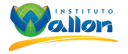 Instituto Wallon