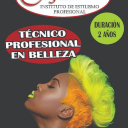 Logo de Instituto  De Estilismo Profesional