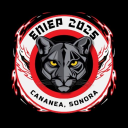 Logo de Preparatoria Lazaro Cardenas