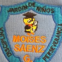 Logo de Escuela  Moises Saenz Garza