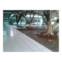 Logo de Colegio Motolinia