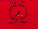 Logo de Colegio Nestor Rogelio Hernandez Serrano