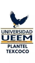 Logo de Preparatoria  Nueva Escuela Tecnológica UEEM Texcoco