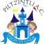 Logo de Piltzintli 