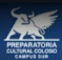 Logo de Institut Cultural Colosio Campus Sur
