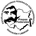Logo de Institut Profr. Manuel Noceda Barrios