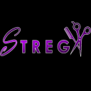 Logo de Instituto  De Belleza Strega