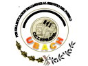 Universidad  De Bachajón