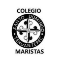 Logo de Institut Santo Domingo Tehuantepec