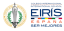 Logo de Internacional Eirís