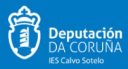 Logo de Instituto Calvo Sotelo