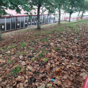 Logo de Instituto Profesional De Santiago