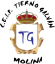 Logo de TIERNO GALVÁN. CENTRO BRITISH COUNCIL.