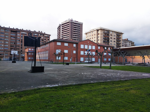 Instituto Basoko en Pamplona | Opiniones y Precios 2024