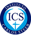 Instituto Carlos Steeb