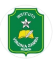Logo de Instituto Profesora Virginia Gamba