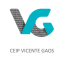 Logo de Vicente Gaos