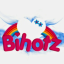 Logo de Bihotz