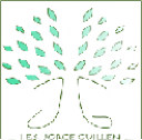 Logo de Instituto Jorge Guillén