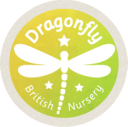 Logo de Escuela Infantil Dragonfly British Nursery